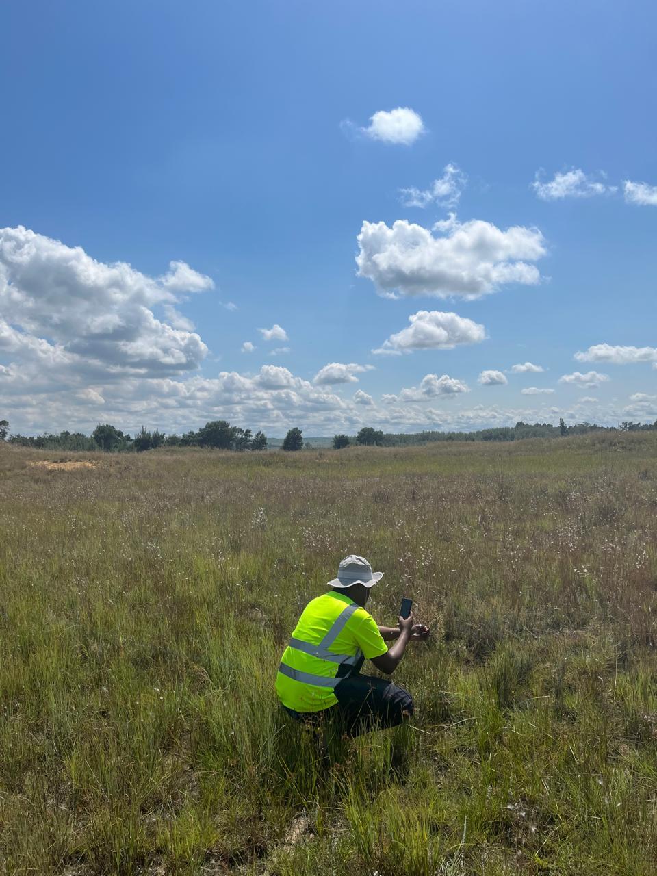 Recording vegetation at ground level