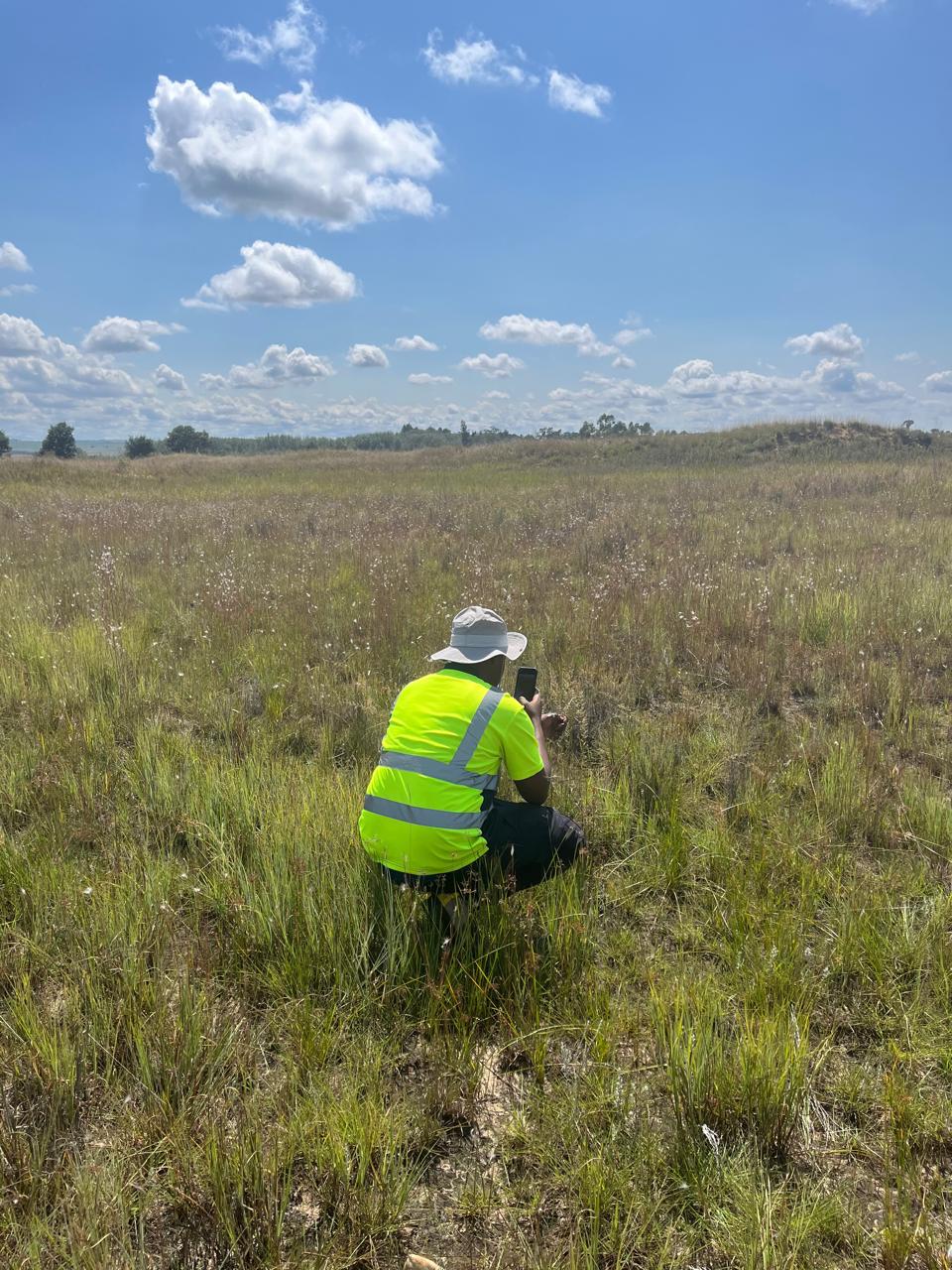 Inspecting vegetation in open grassland