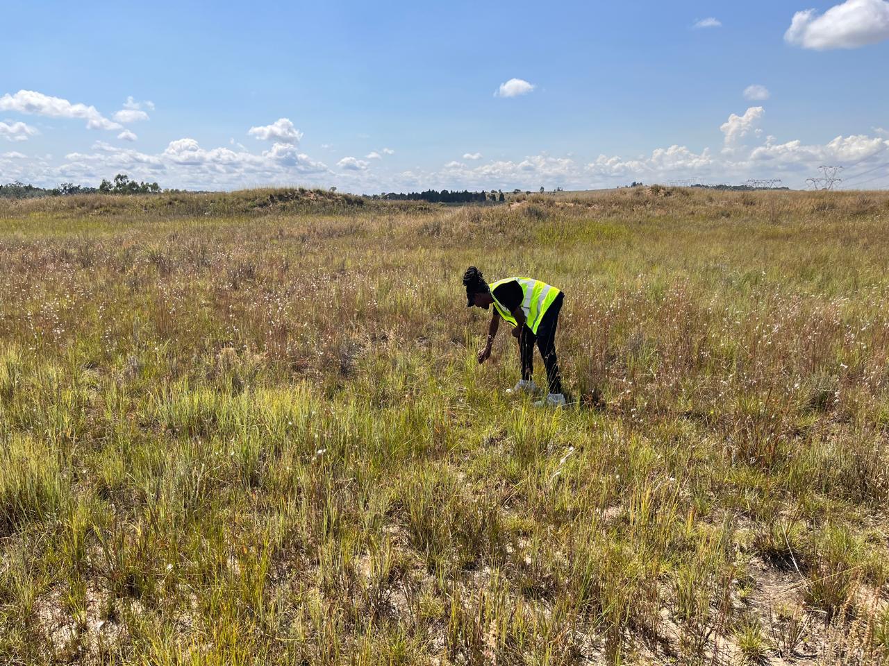 Photographing vegetation during a site visit